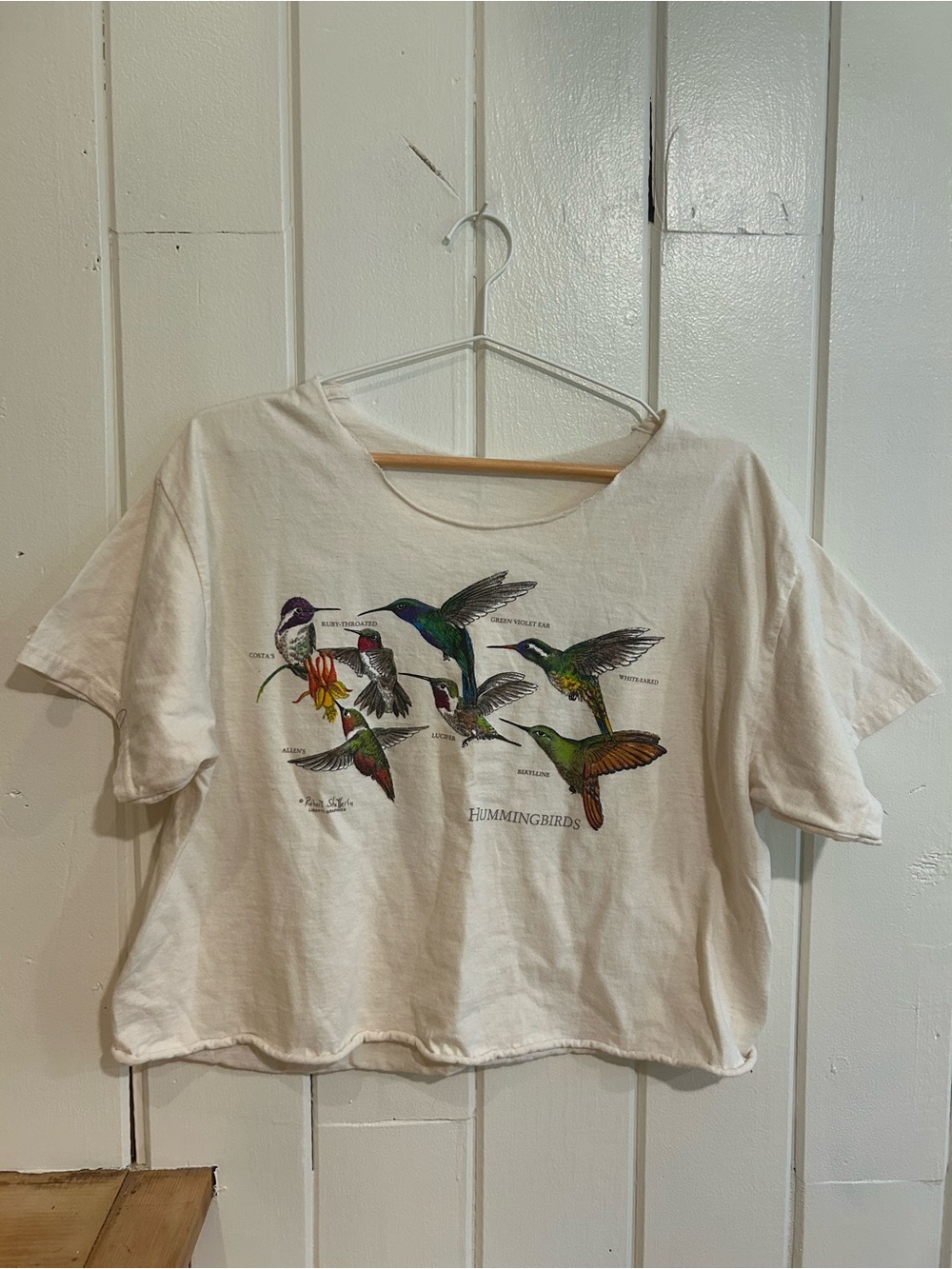 Vintage Cotton Hummingbird Graphic Tee | Gorp Core | Outdoors | Hiking